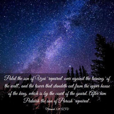 Picture 03 - Nehemiah 3:25 ASV - Palal the son of Uzai `repaired' over against the - Bible Verse Picture