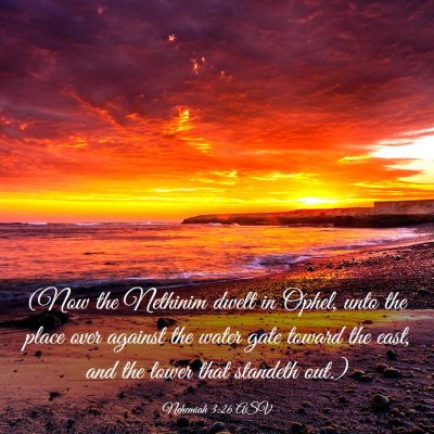 Picture 03 - Nehemiah 3:26 ASV - (Now the Nethinim dwelt in Ophel, unto the place - Bible Verse Picture