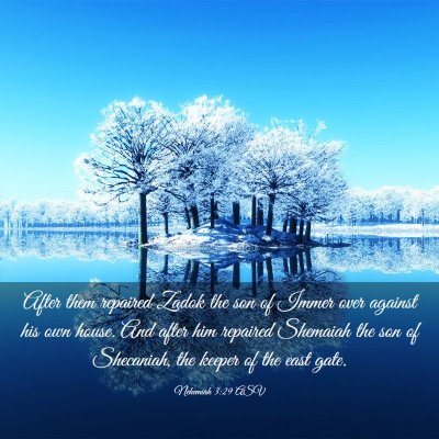 Picture 03 - Nehemiah 3:29 ASV - After them repaired Zadok the son of Immer over - Bible Verse Picture