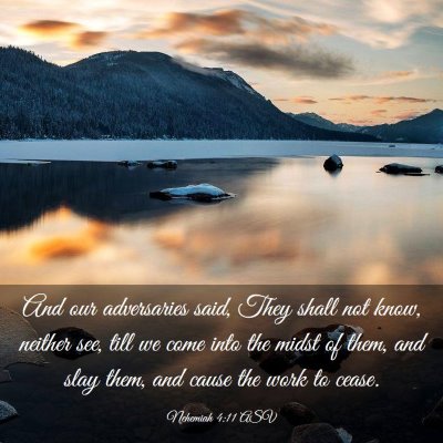 Picture 03 - Nehemiah 4:11 ASV - And our adversaries said, They shall not know, - Bible Verse Picture