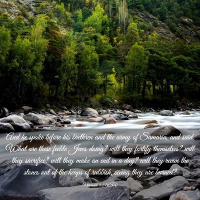 Picture 03 - Nehemiah 4:2 ASV - And he spake before his brethren and the army of - Bible Verse Picture