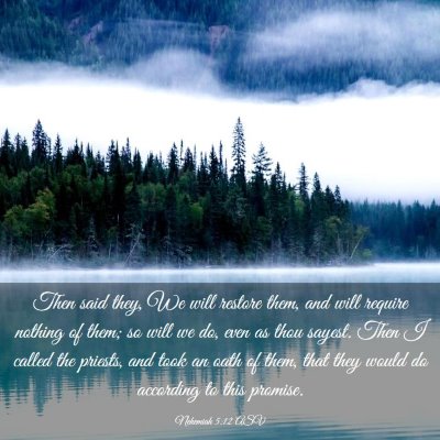 Picture 03 - Nehemiah 5:12 ASV - Then said they, We will restore them, and will - Bible Verse Picture