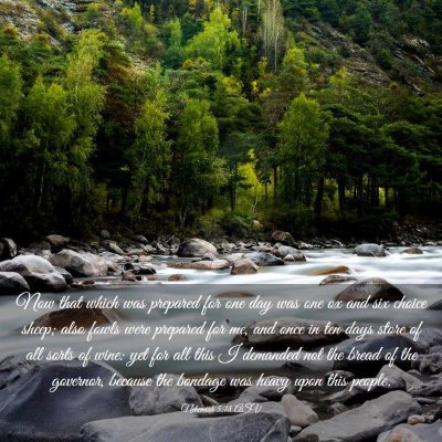 Picture 03 - Nehemiah 5:18 ASV - Now that which was prepared for one day was one - Bible Verse Picture