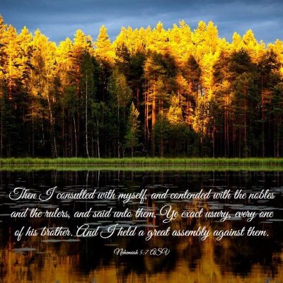 Picture 03 - Nehemiah 5:7 ASV - Then I consulted with myself, and contended with - Bible Verse Picture