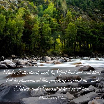 Picture 03 - Nehemiah 6:12 ASV - And I discerned, and, lo, God had not sent him; - Bible Verse Picture