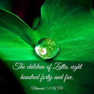 Picture 03 - Nehemiah 7:13 ASV - The children of Zattu, eight hundred forty and - Bible Verse Picture