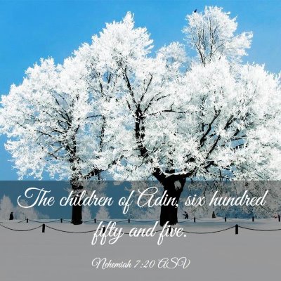 Picture 03 - Nehemiah 7:20 ASV - The children of Adin, six hundred fifty and - Bible Verse Picture