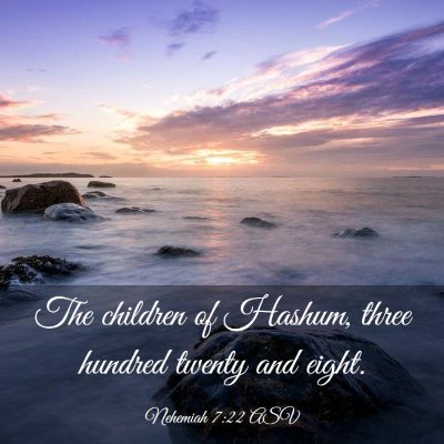 Picture 03 - Nehemiah 7:22 ASV - The children of Hashum, three hundred twenty and - Bible Verse Picture