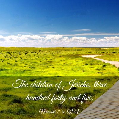 Picture 03 - Nehemiah 7:36 ASV - The children of Jericho, three hundred forty and - Bible Verse Picture