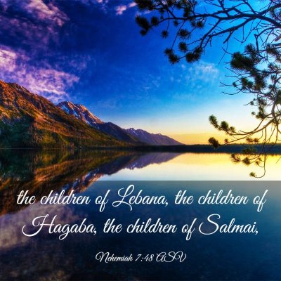 Picture 03 - Nehemiah 7:48 ASV - the children of Lebana, the children of Hagaba, - Bible Verse Picture