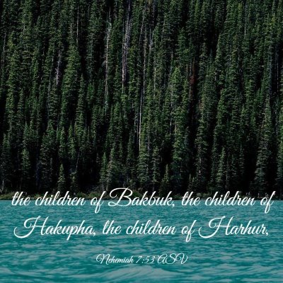 Picture 03 - Nehemiah 7:53 ASV - the children of Bakbuk, the children of Hakupha, - Bible Verse Picture
