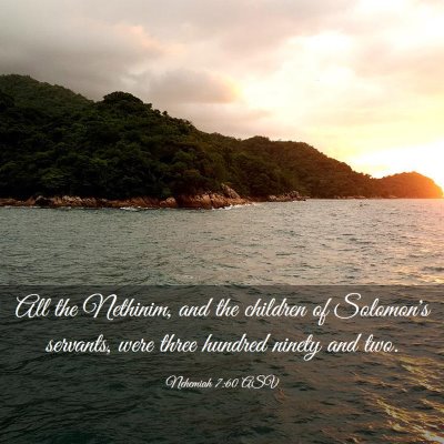 Picture 03 - Nehemiah 7:60 ASV - All the Nethinim, and the children of Solomon's - Bible Verse Picture