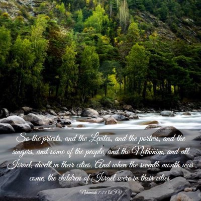 Picture 03 - Nehemiah 7:73 ASV - So the priests, and the Levites, and the porters, - Bible Verse Picture