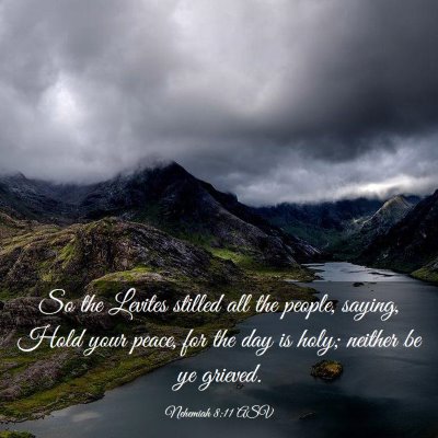 Picture 03 - Nehemiah 8:11 ASV - So the Levites stilled all the people, saying, - Bible Verse Picture