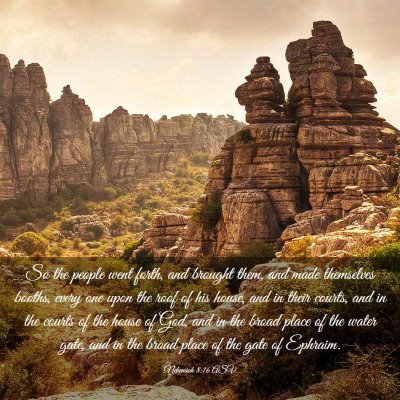 Picture 03 - Nehemiah 8:16 ASV - So the people went forth, and brought them, and - Bible Verse Picture