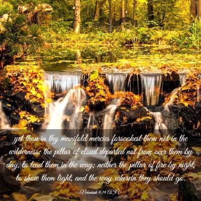 Picture 03 - Nehemiah 9:19 ASV - yet thou in thy manifold mercies forsookest them - Bible Verse Picture