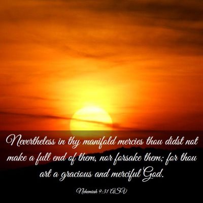 Picture 03 - Nehemiah 9:31 ASV - Nevertheless in thy manifold mercies thou didst - Bible Verse Picture