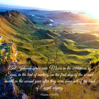 Picture 03 - Numbers 1:1 ASV - And Jehovah spake unto Moses in the wilderness of - Bible Verse Picture