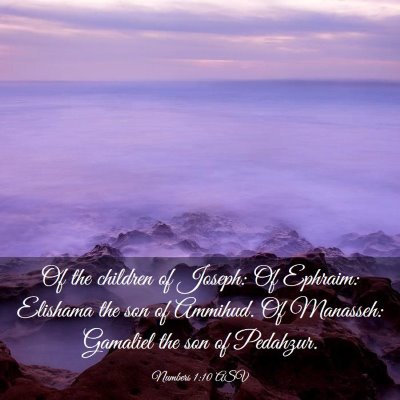 Picture 03 - Numbers 1:10 ASV - Of the children of Joseph: Of Ephraim: Elishama - Bible Verse Picture