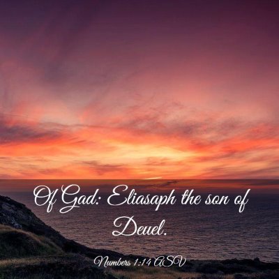 Picture 03 - Numbers 1:14 ASV - Of Gad: Eliasaph the son of - Bible Verse Picture