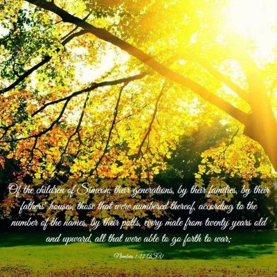 Picture 03 - Numbers 1:22 ASV - Of the children of Simeon, their generations, by - Bible Verse Picture
