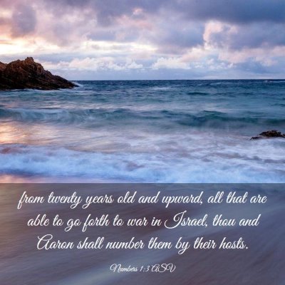 Picture 03 - Numbers 1:3 ASV - from twenty years old and upward, all that are - Bible Verse Picture
