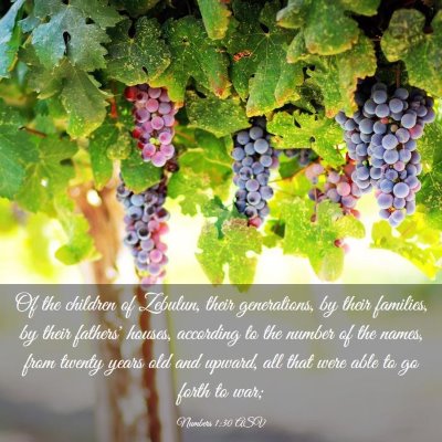 Picture 03 - Numbers 1:30 ASV - Of the children of Zebulun, their generations, by - Bible Verse Picture