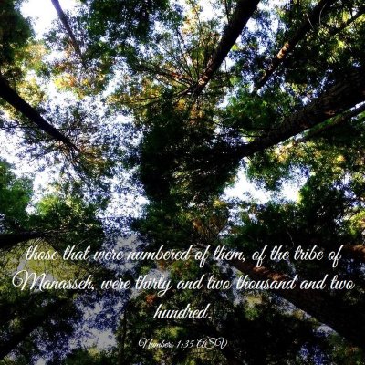 Picture 03 - Numbers 1:35 ASV - those that were numbered of them, of the tribe of - Bible Verse Picture