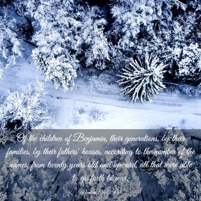 Picture 03 - Numbers 1:36 ASV - Of the children of Benjamin, their generations, - Bible Verse Picture