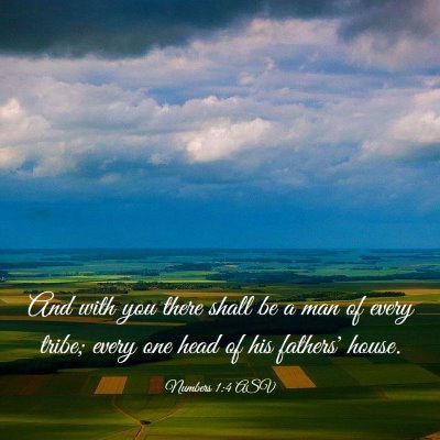 Picture 03 - Numbers 1:4 ASV - And with you there shall be a man of every tribe; - Bible Verse Picture