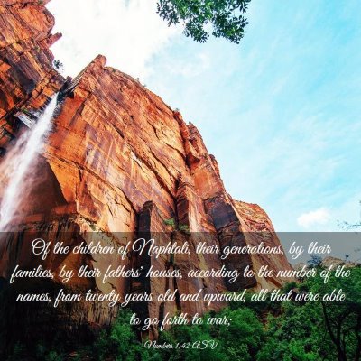 Picture 03 - Numbers 1:42 ASV - Of the children of Naphtali, their generations, - Bible Verse Picture
