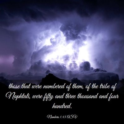 Picture 03 - Numbers 1:43 ASV - those that were numbered of them, of the tribe of - Bible Verse Picture