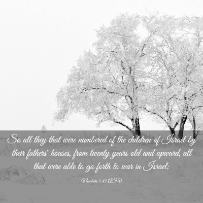 Picture 03 - Numbers 1:45 ASV - So all they that were numbered of the children of - Bible Verse Picture