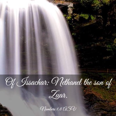 Picture 03 - Numbers 1:8 ASV - Of Issachar: Nethanel the son of - Bible Verse Picture