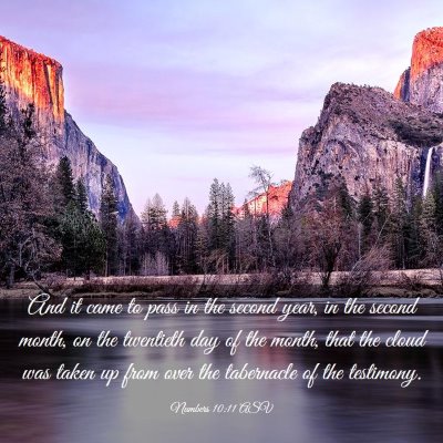 Picture 03 - Numbers 10:11 ASV - And it came to pass in the second year, in the - Bible Verse Picture