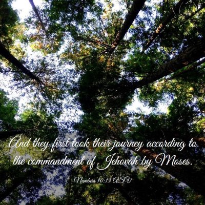 Picture 03 - Numbers 10:13 ASV - And they first took their journey according to - Bible Verse Picture