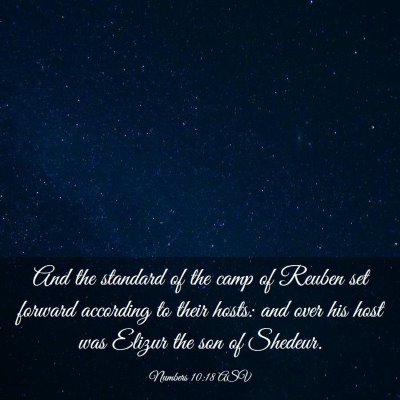 Picture 03 - Numbers 10:18 ASV - And the standard of the camp of Reuben set - Bible Verse Picture