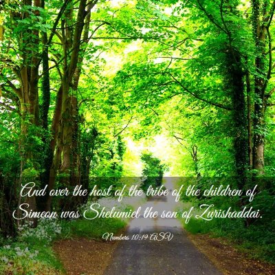 Picture 03 - Numbers 10:19 ASV - And over the host of the tribe of the children of - Bible Verse Picture