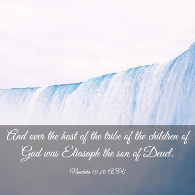 Picture 03 - Numbers 10:20 ASV - And over the host of the tribe of the children of - Bible Verse Picture