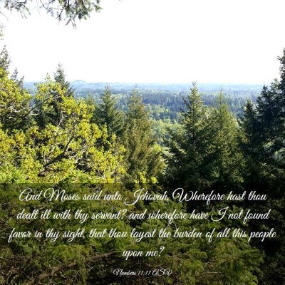 Picture 03 - Numbers 11:11 ASV - And Moses said unto Jehovah, Wherefore hast thou - Bible Verse Picture