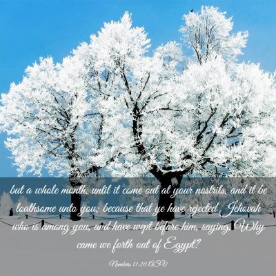 Picture 03 - Numbers 11:20 ASV - but a whole month, until it come out at your - Bible Verse Picture
