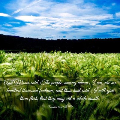 Picture 03 - Numbers 11:21 ASV - And Moses said, The people, among whom I am, are - Bible Verse Picture