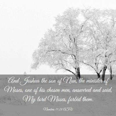 Picture 03 - Numbers 11:28 ASV - And Joshua the son of Nun, the minister of Moses, - Bible Verse Picture