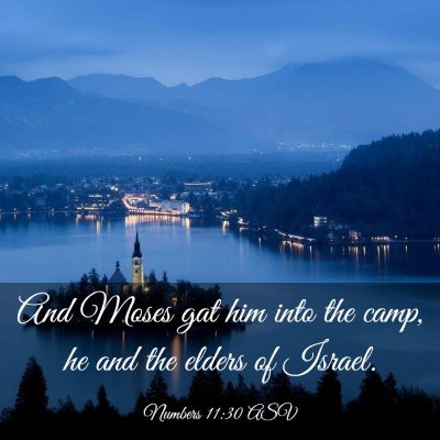 Picture 03 - Numbers 11:30 ASV - And Moses gat him into the camp, he and the - Bible Verse Picture