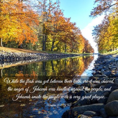 Picture 03 - Numbers 11:33 ASV - While the flesh was yet between their teeth, ere - Bible Verse Picture