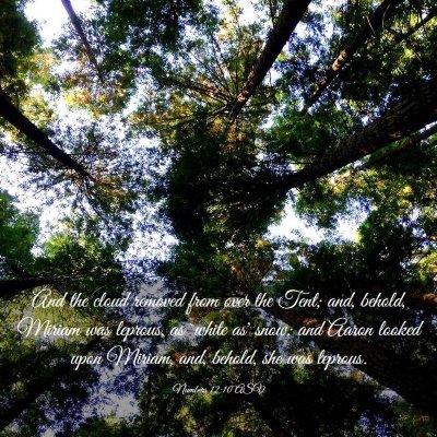 Picture 03 - Numbers 12:10 ASV - And the cloud removed from over the Tent; and, - Bible Verse Picture