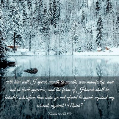 Picture 03 - Numbers 12:8 ASV - with him will I speak mouth to mouth, even - Bible Verse Picture