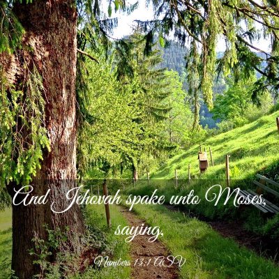 Picture 03 - Numbers 13:1 ASV - And Jehovah spake unto Moses, - Bible Verse Picture