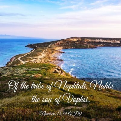 Picture 03 - Numbers 13:14 ASV - Of the tribe of Naphtali, Nahbi the son of - Bible Verse Picture