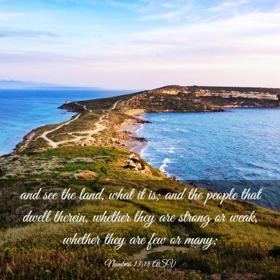 Picture 03 - Numbers 13:18 ASV - and see the land, what it is; and the people that - Bible Verse Picture